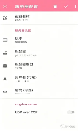 NekoBox 链式代理设置 步骤 3